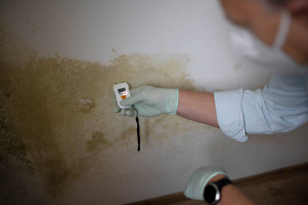 Best Mold Testing  in Stanton, NE