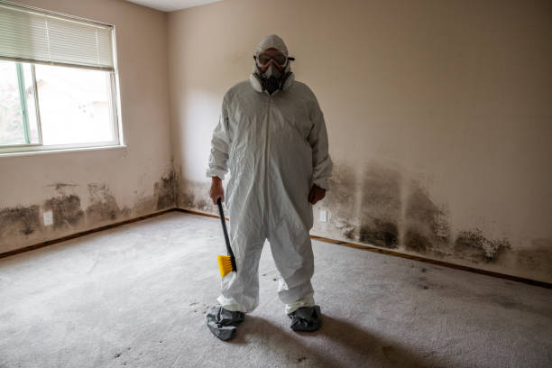 Best Residential Mold Removal  in Stanton, NE